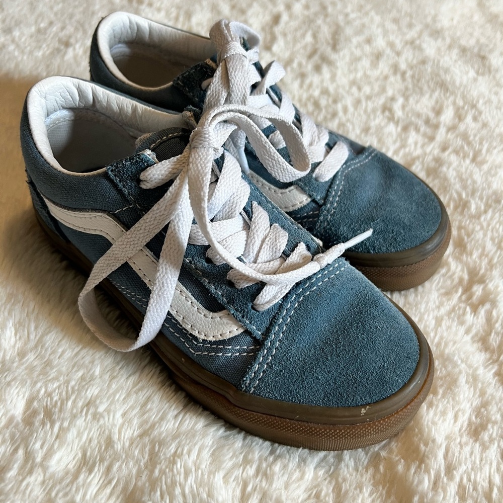 Vans Blue and White Skate Sneakers